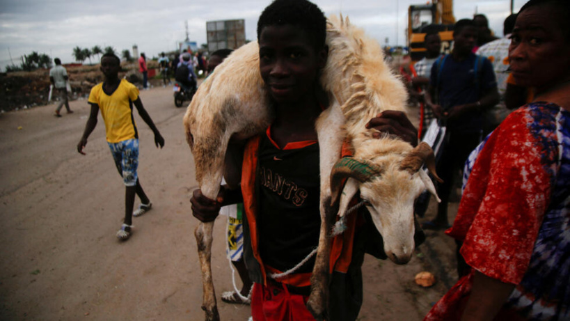 Côte d'Ivoire: les commerçants en colère face au déguerpissement du parc à bétail de l'abattoir de Port-Bouët Côte d'Ivoire: les commerçants en colère face au déguerpissement du parc à bétail de l'abattoir de Port-Bouët