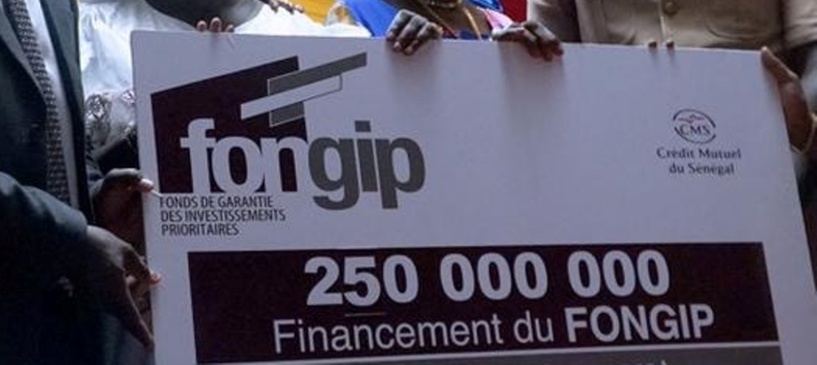 Financement des projets du Fongip : 250 millions FCFA détournés à travers des prêts fictifs Financement des projets du Fongip : 250 millions FCFA détournés à travers des prêts fictifs