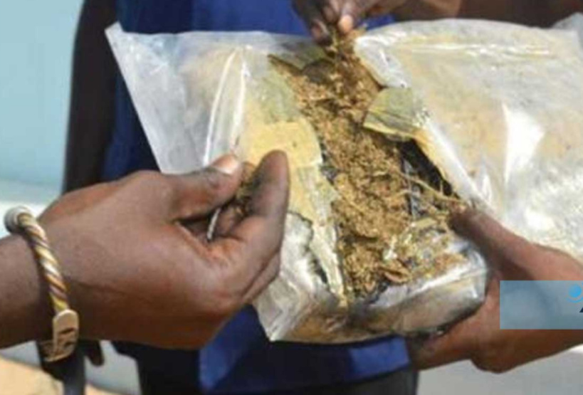 Ziguinchor : 12, 5 kg de chanvre indien saisis en l’espace d’une semaine Ziguinchor : 12, 5 kg de chanvre indien saisis en l’espace d’une semaine
