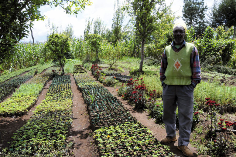 Développement durable : LA FAO récompense deux projets au Niger et au Sénégal