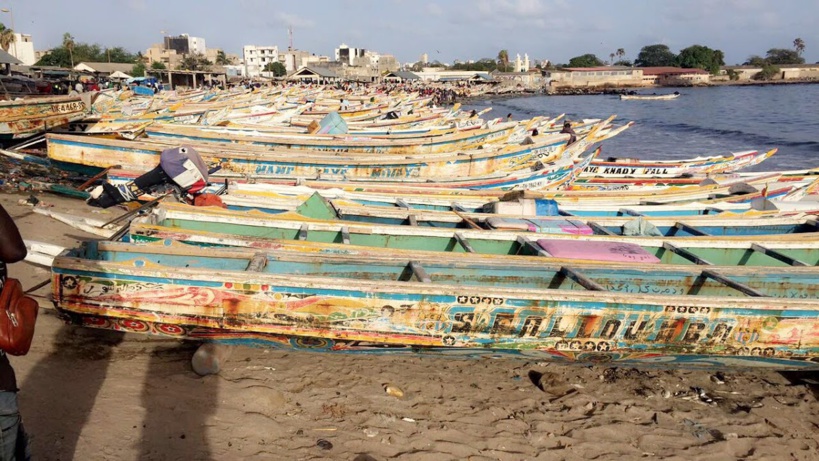 Visite surprise : le Président Diomaye Faye aperçu au marché de Soumbédioune ce lundi Visite surprise : le Président Diomaye Faye aperçu au marché de Soumbédioune ce lundi