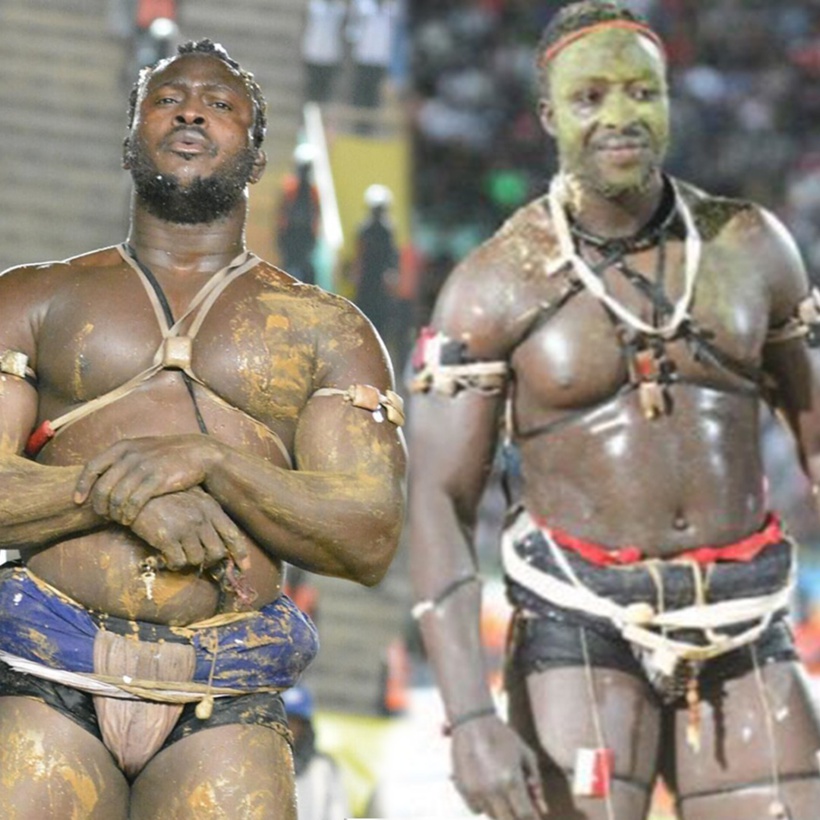 Lutte avec frappe : la date du face to face entre Modou Lô et Siteu connue Lutte avec frappe : la date du face to face entre Modou Lô et Siteu connue