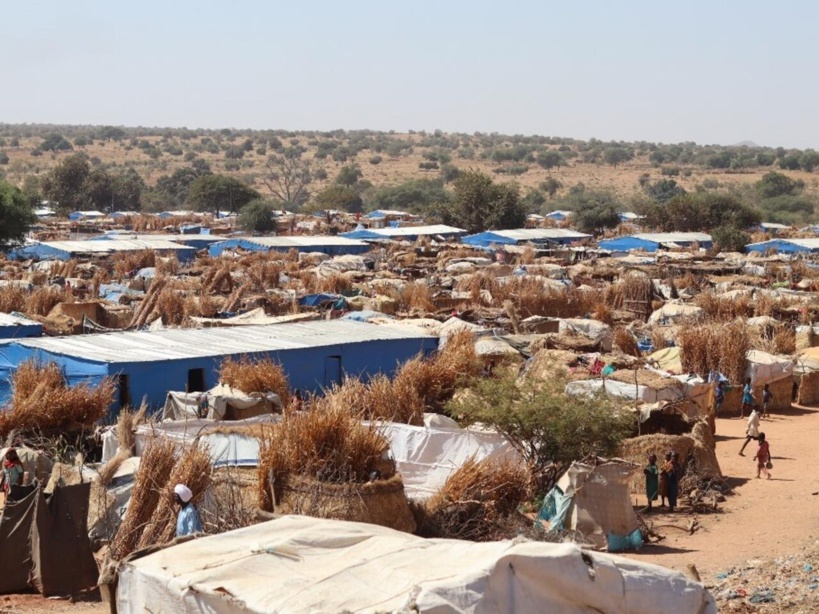 «Ici, on est au cœur de la crise»: le Tchad face à l'afflux des réfugiés soudanais «Ici, on est au cœur de la crise»: le Tchad face à l'afflux des réfugiés soudanais