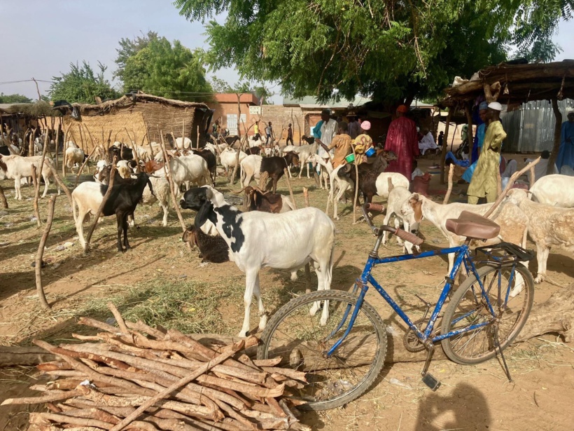 En Afrique, une Tabaski entre vie chère et grands préparatifs