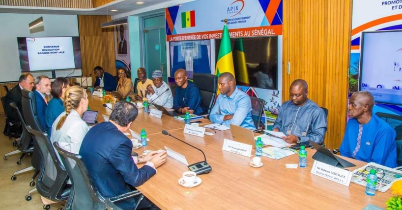 Agriculture : vers la création "des coopératives agricoles de la diaspora" Agriculture : vers la création "des coopératives agricoles de la diaspora"