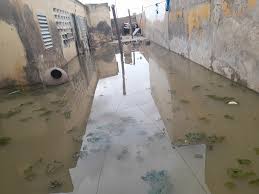 Hivernage: le quartier passoire de Kaolack sous les eaux, d'importants dégâts matériels enregistrés