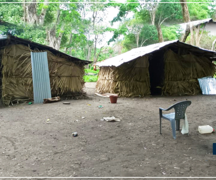 Casamance-Boussoloume : le village "fantôme" retrouve ses habitants qui avaient fuient la guerre 33 ans après Casamance-Boussoloume : le village "fantôme" retrouve ses habitants qui avaient fuient la guerre 33 ans après