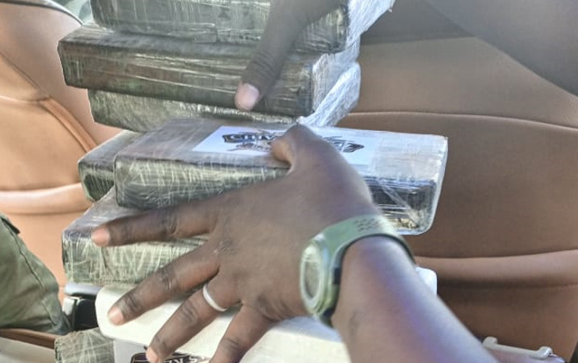 Trafic de drogue à Koumpentoum : 365 kg de cocaïne d’une valeur de plus de 29 milliards FCFA saisis par la Douane