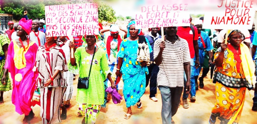 Bignona : Niamone réclame l’audit de la forêt classée et sa déclassification Bignona : Niamone réclame l’audit de la forêt classée et sa déclassification