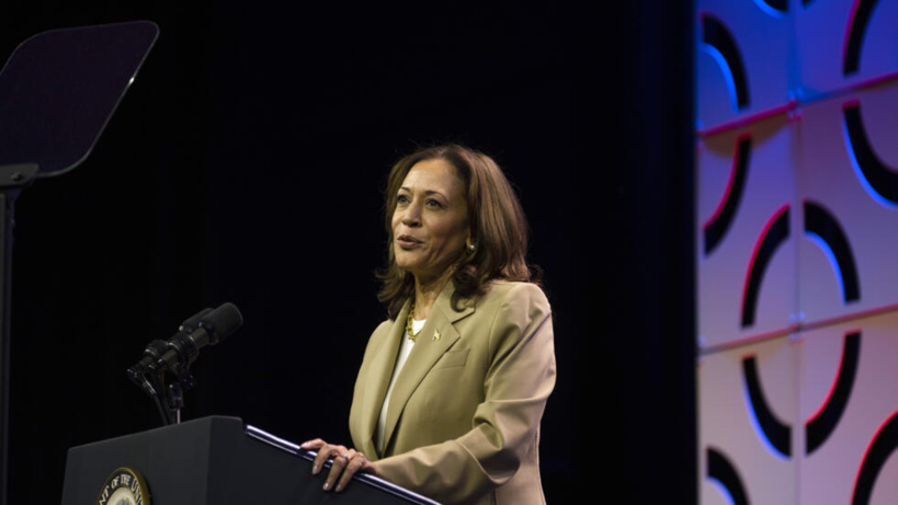 États-Unis: les démocrates divisés entre soutiens à Kamala Harris et appels à une autre candidature États-Unis: les démocrates divisés entre soutiens à Kamala Harris et appels à une autre candidature