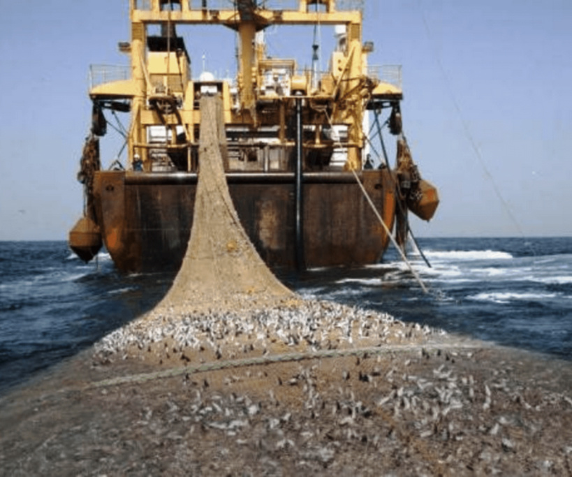 Gouvernance de transparence : le ministère des Pêches promet de rendre publics le montant des amendes versées au Trésor Gouvernance de transparence : le ministère des Pêches promet de rendre publics le montant des amendes versées au Trésor