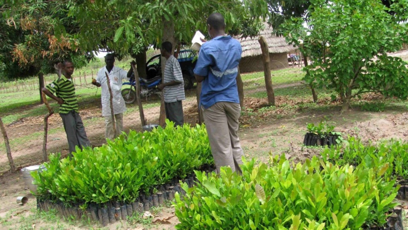Environnement : un projet visant à réduire les émissions de méthanes bientôt lancé à Dakar Environnement : un projet visant à réduire les émissions de méthanes bientôt lancé à Dakar