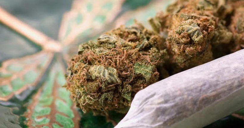 Démantèlement d’un réseau de trafic de kush à Ziguinchor : sept (7) arrestations dont quatre (4) prostituées nigérianes Démantèlement d’un réseau de trafic de kush à Ziguinchor : sept (7) arrestations dont quatre (4) prostituées nigérianes