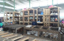 A Abidjan, des fermiers craignent d'énormes pertes après la découverte de foyers de grippe aviaire (MAGAZINE) A Abidjan, des fermiers craignent d'énormes pertes après la découverte de foyers de grippe aviaire (MAGAZINE)