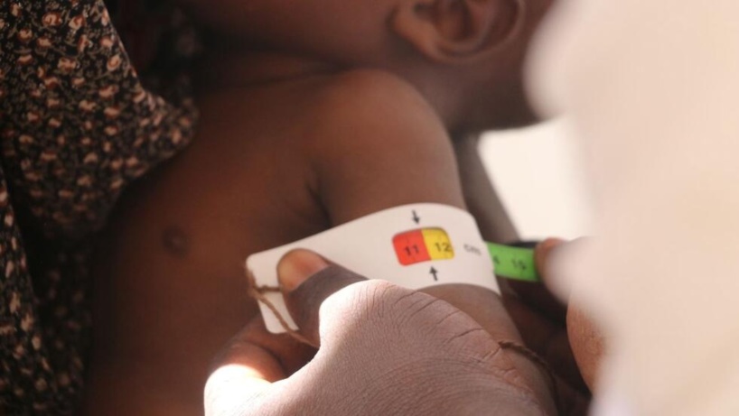 Mali: la malnutrition infantile est à son plus haut depuis 10 ans, s’alarme Action contre la faim Mali: la malnutrition infantile est à son plus haut depuis 10 ans, s’alarme Action contre la faim