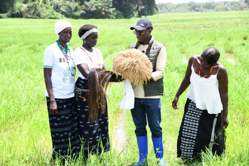 Tournée agricole dans le Kassa : le roi de Mlomp Sibilé Sambou bénit Mabouba Diagne Tournée agricole dans le Kassa : le roi de Mlomp Sibilé Sambou bénit Mabouba Diagne