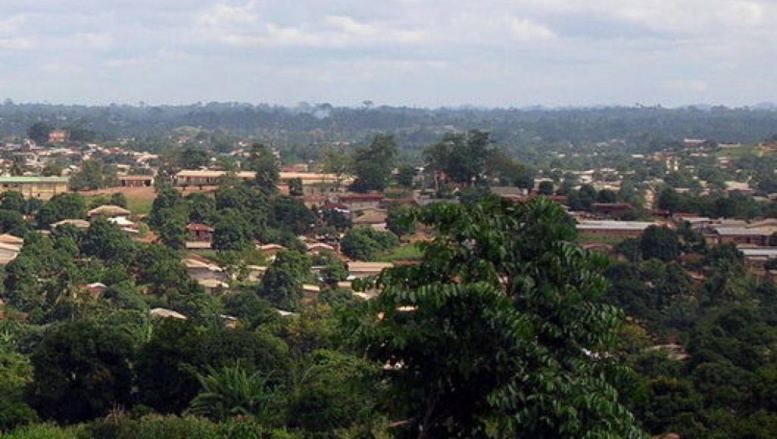 Guinée: un mort dans les violences pré-électorales à N'Zérékoré Guinée: un mort dans les violences pré-électorales à N'Zérékoré