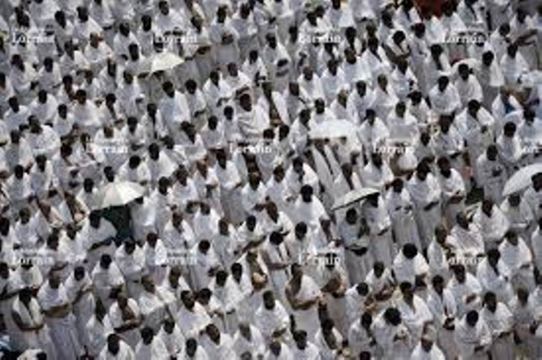 Dernier bilan de la bousculade de Mina : 13 pèlerins Sénégalais retrouvés vivants