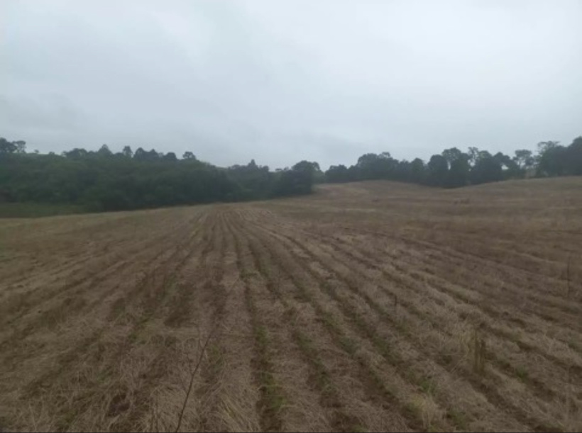 Kiréne/Diass : l'État a attribué par bail 143 hectares aux Ciments du Sahel Kiréne/Diass : l'État a attribué par bail 143 hectares aux Ciments du Sahel