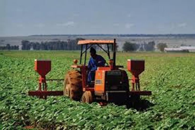 La BAD et les Etats africains s’engagent à faire de l'agriculture le moteur de la croissance économique