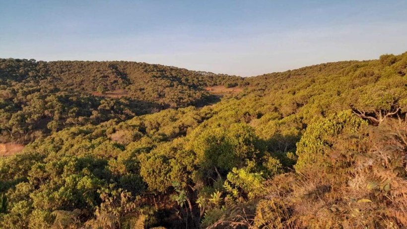 COP29: Madagascar et les autres pays neutres en carbone créent le club «G-Zéro» COP29: Madagascar et les autres pays neutres en carbone créent le club «G-Zéro»