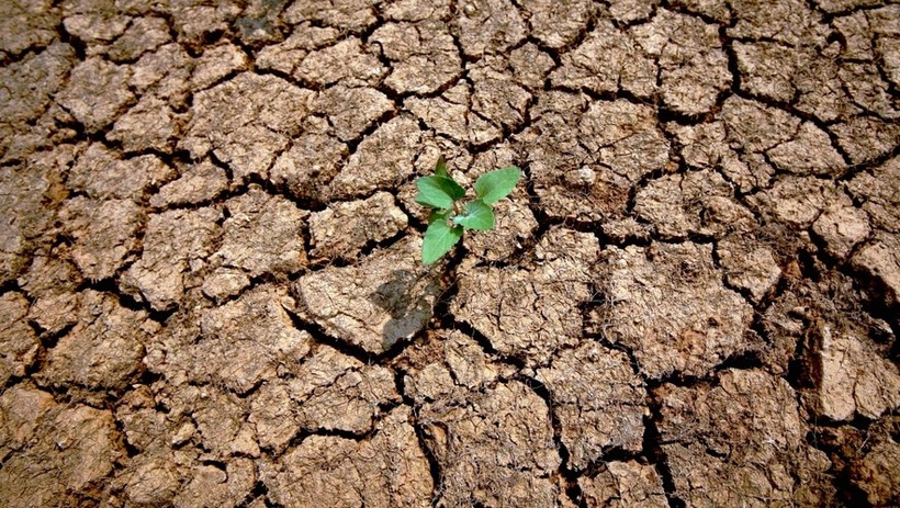 Quelles sont les conséquences du réchauffement climatique sur le travail? Quelles sont les conséquences du réchauffement climatique sur le travail?