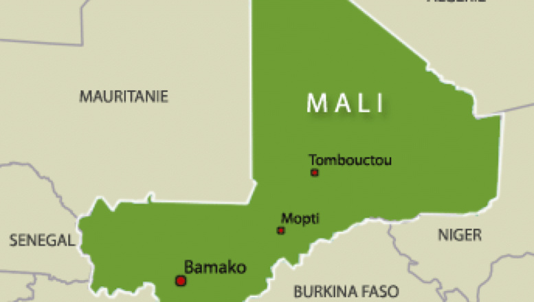 Mali: arrestation de douze jihadistes présumés dans le centre Mali: arrestation de douze jihadistes présumés dans le centre