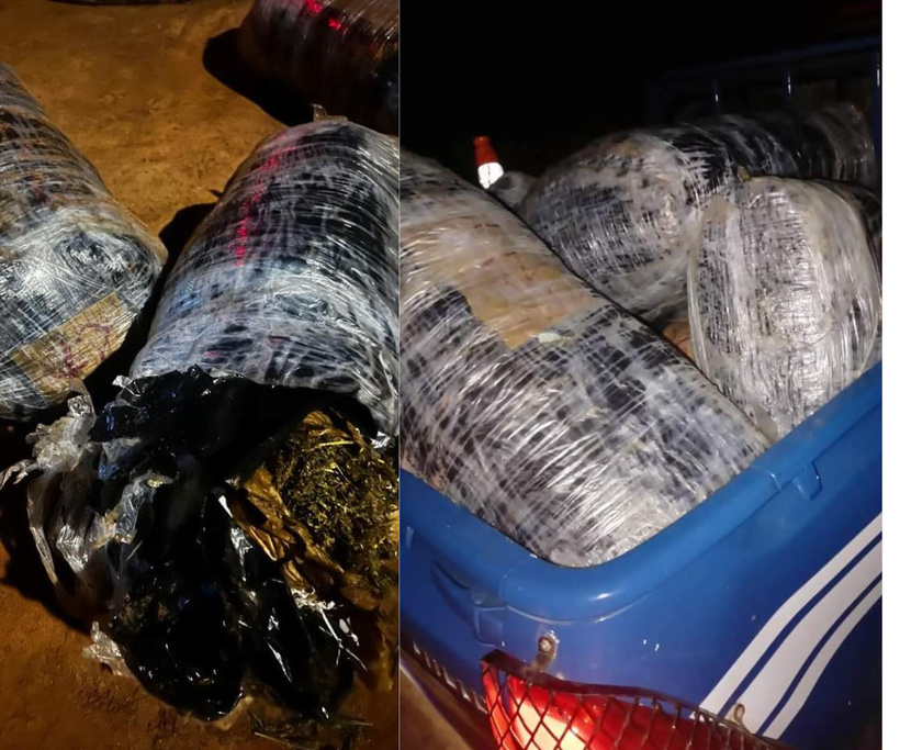 Sokone : un dealer interpellé avec 3,2 kg de chanvre indien stockés dans sa chambre Sokone : un dealer interpellé avec 3,2 kg de chanvre indien stockés dans sa chambre