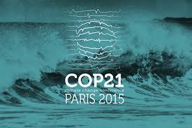 RSE et COP21 en Afrique: Enjeux et solutions des acteurs économiques africains