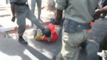 Kolda: 35 personnes interpellées pour détention et trafic de chanvre indien