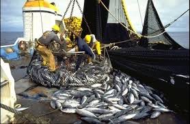​Les défenseurs de la mer sonnent l’alerte sur la «Sénégalisation» des navires de pêche étrangers