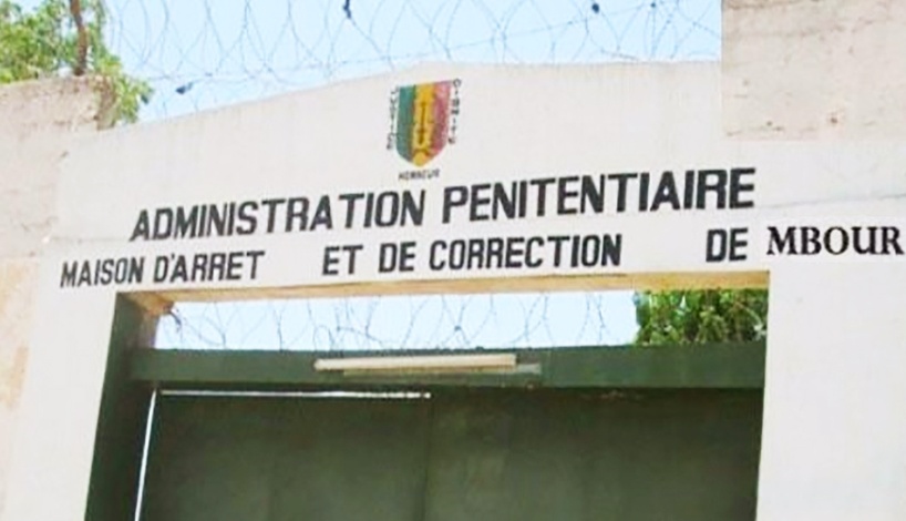 Prison de Mbour : les gardes interceptent du chanvre indien planqué dans un poulet, le livreur et son client identifiés Prison de Mbour : les gardes interceptent du chanvre indien planqué dans un poulet, le livreur et son client identifiés