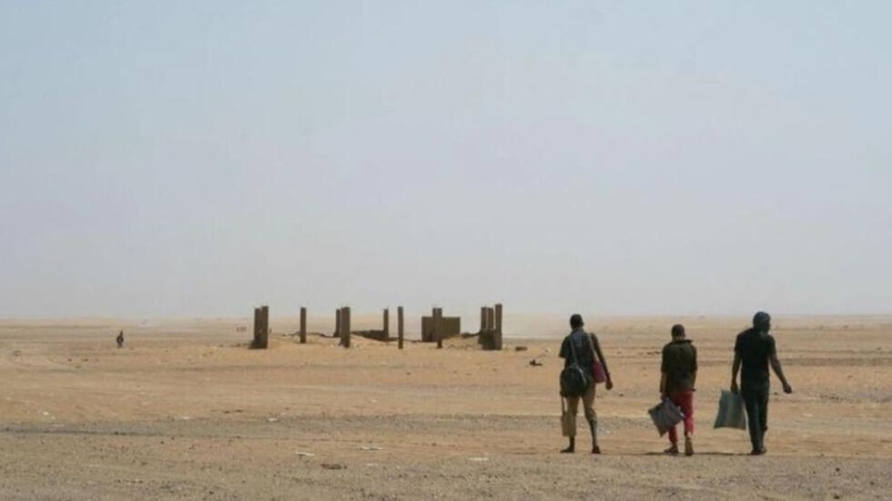 L'Algérie a expulsé plus de 30 000 personnes vers le Niger en 2024, selon l'ONG Alarme Phone Sahara L'Algérie a expulsé plus de 30 000 personnes vers le Niger en 2024, selon l'ONG Alarme Phone Sahara