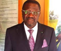 Engagement en faveur de l’agriculture: Dr Papa Abdoulaye Seck honoré par la FAO
