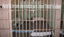 Prison de Thiès: une nouvelle cellule en construction pour les 3 présumés "Djihadistes" de Guédiawaye