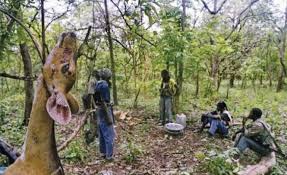 Mines anti personnel en Casamance: plus de 400 femmes amputées.