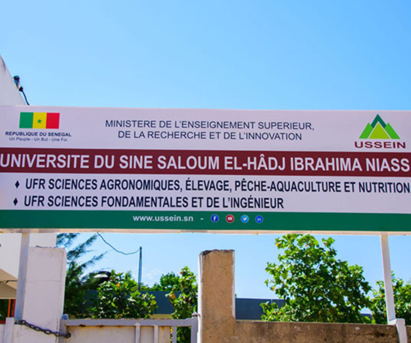 Diégane Diouf nommé nouveau Recteur de l’Université El Hadji Ibrahima Niasse du Sine Saloum (USSEIN) Diégane Diouf nommé nouveau Recteur de l’Université El Hadji Ibrahima Niasse du Sine Saloum (USSEIN)