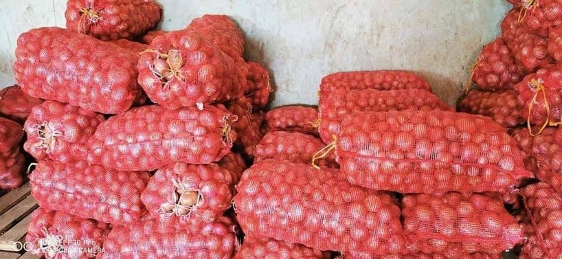 Suspension des importations d’oignon au Sénégal : une mesure pour soutenir la production locale Suspension des importations d’oignon au Sénégal : une mesure pour soutenir la production locale