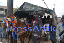 Magal 2015 : Les charretiers se frottent les mains