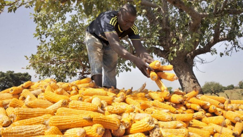Le FMI salue les efforts de bonne gouvernance du Mali