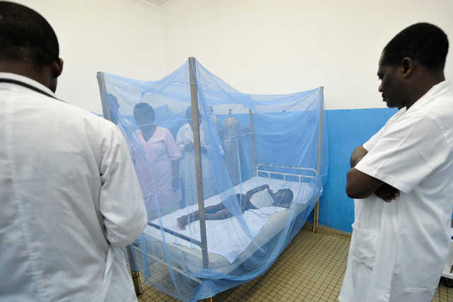 Rapport 2015 sur le paludisme - Le chemin est encore long: près de la moitié de la population mondiale exposée