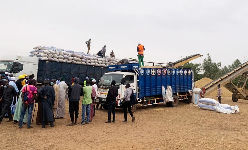 Arachide : La Sonacos bat un record de collecte à Diourbel avec 22.000 tonnes en deux mois Arachide : La Sonacos bat un record de collecte à Diourbel avec 22.000 tonnes en deux mois