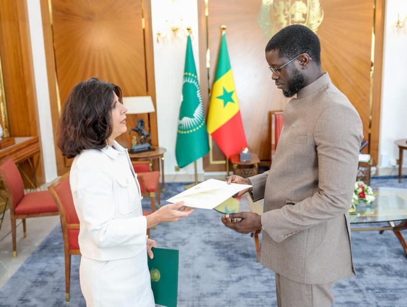 Diplomatie : le président de la République Diomaye Faye a reçu 5 nouveaux ambassadeurs accrédités au Sénégal Diplomatie : le président de la République Diomaye Faye a reçu 5 nouveaux ambassadeurs accrédités au Sénégal