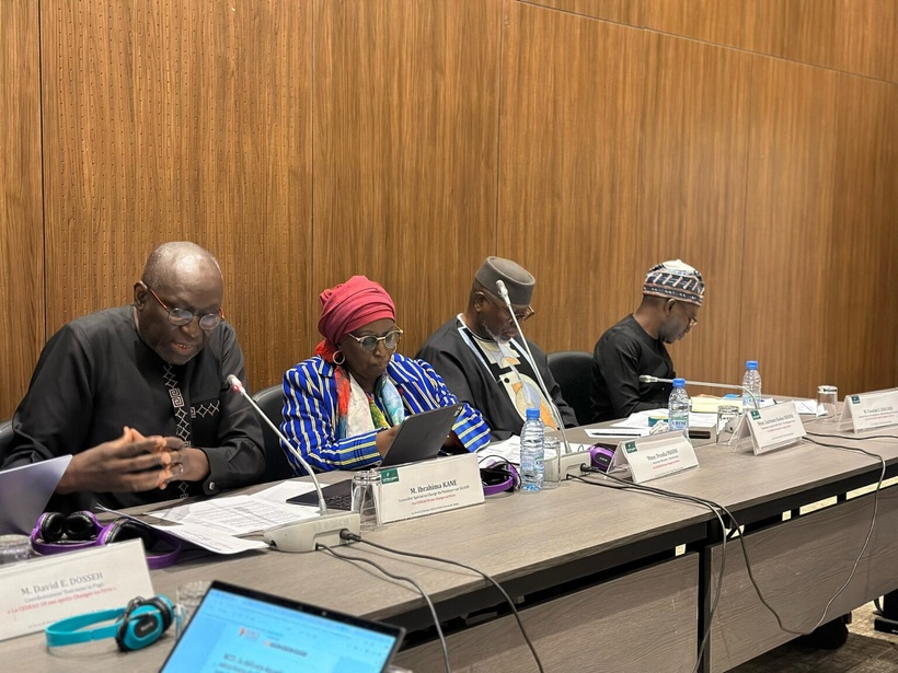 50 ans de la CEDEAO : Alioune Tine plaide pour une réforme en profondeur de l’organisation régionale