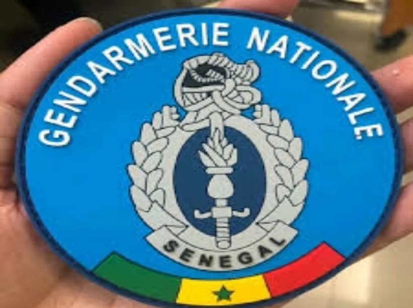 Accidents routiers : la Gendarmerie dresse son bilan pour 2024 Accidents routiers : la Gendarmerie dresse son bilan pour 2024