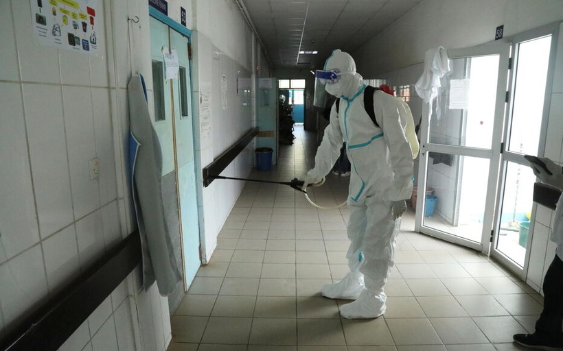 Ebola: la guérison d'un singe grâce à un traitement sous forme de comprimé, selon une étude