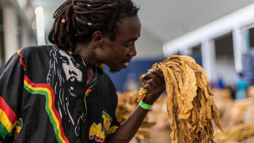 Droits de douane américains: le Zimbabwe suspend toutes les taxes à l'importation sur les produits américains Droits de douane américains: le Zimbabwe suspend toutes les taxes à l'importation sur les produits américains