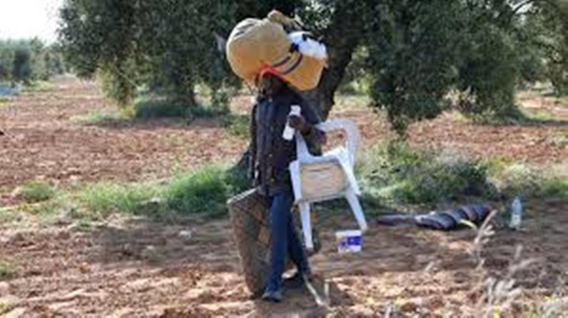 Tunisie: les autorités procèdent à une vaste opération de démantèlement de camps de migrants Tunisie: les autorités procèdent à une vaste opération de démantèlement de camps de migrants