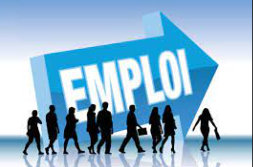 Marché du travail en 2024 : 10 386 emplois créés, plus de 77 000 contrats enregistrés, selon le rapport RAST Marché du travail en 2024 : 10 386 emplois créés, plus de 77 000 contrats enregistrés, selon le rapport RAST