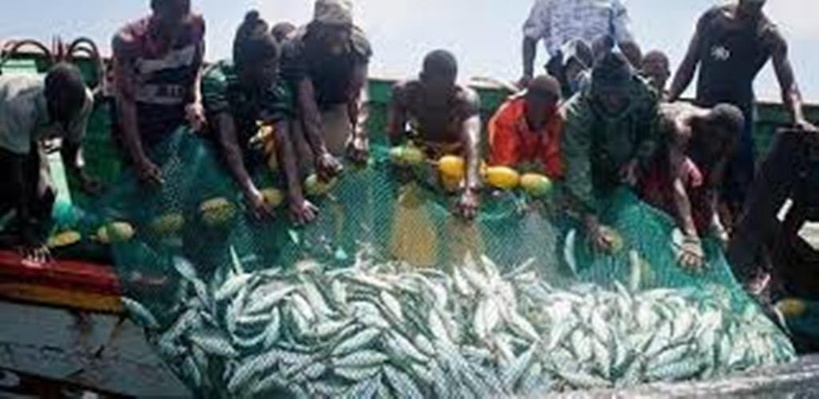 Critiques visant la ministre des Pêches : le SYTRAPAS condamne fermement ces attaques Critiques visant la ministre des Pêches : le SYTRAPAS condamne fermement ces attaques